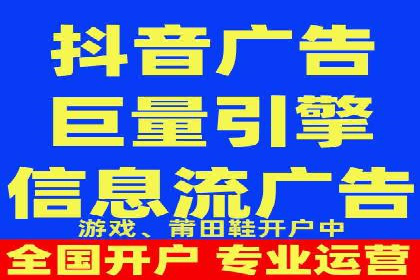 SEM广告投放中的数据监控与调整策略——以某品牌营销案例为例